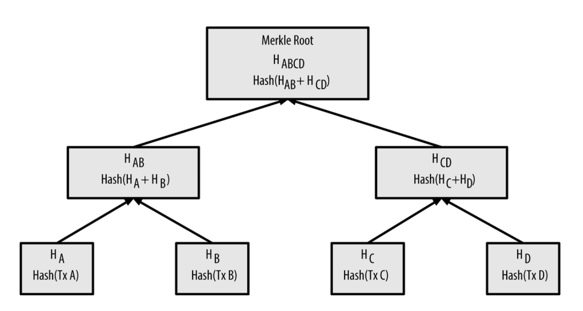 merkle tree visualization